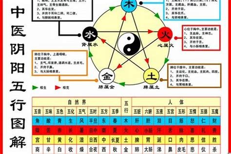 1984 鼠 五行